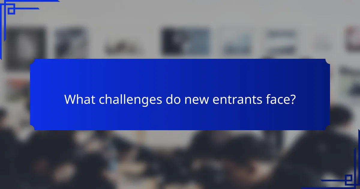 What challenges do new entrants face?